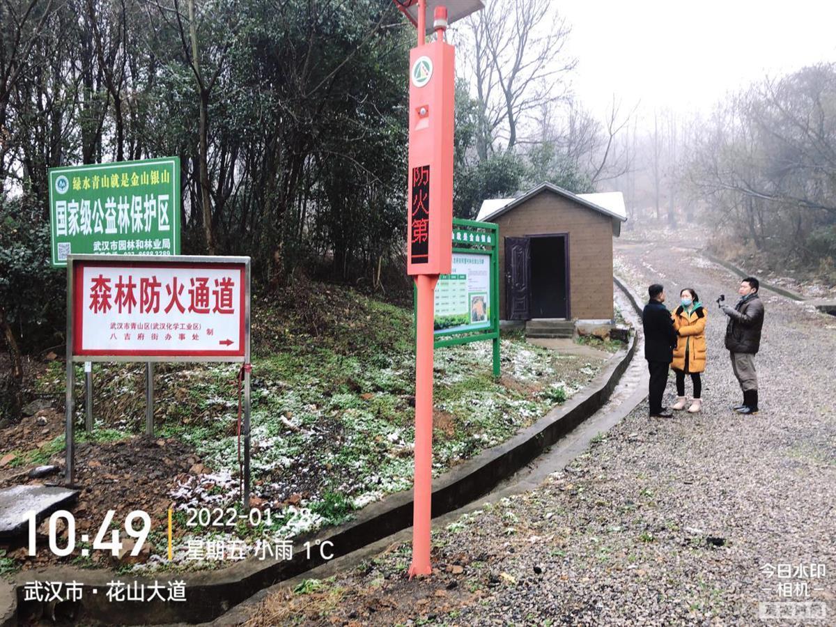武漢織密森林“防火網”！千余護林員每日巡查 智能攝像頭監控90萬畝生態林