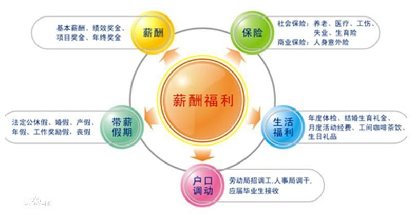 it人員是什么_it人員工作職責_it技術(shù)人員